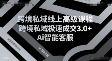 【精】跨境私域线上高级课程，跨境私域极速成交3.0+Ai智能客服网赚项目-副业赚钱-互联网创业-资源整合知行客