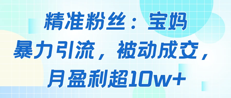 精准粉丝：宝妈暴力引流方法，被动成交，月盈利超10w+网赚项目-副业赚钱-互联网创业-资源整合知行客