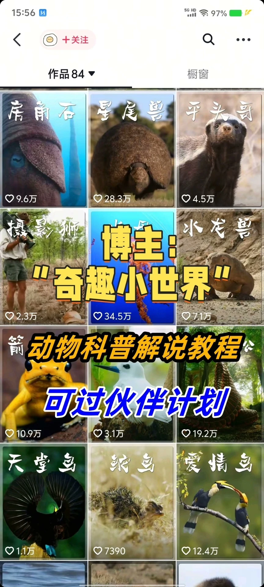 【精】奇趣小世界dy大v博主课程动物百科解说教程剪辑实操视频原创文案思路讲解 【精】奇趣小世界dy大v博主课程动物百科解说教程剪辑实操视频原创文案思路讲解