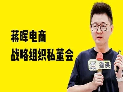 蒋晖电商战略组织私董会-教程视频打包下载网赚项目-副业赚钱-互联网创业-资源整合知行客
