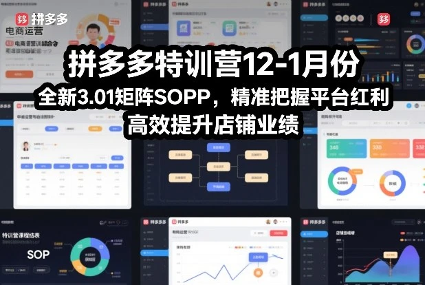 【精】拼多多特训营12-1月份，全新3.01矩阵Sop，精准把握平台红利，高效提升店铺业绩网赚项目-副业赚钱-互联网创业-资源整合知行客