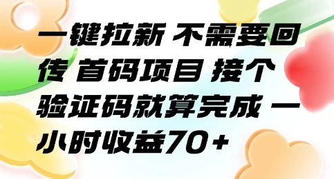 一键拉新 不需要回传 首码项目 接个验证码就算完成 一小时收益70+【揭秘】网赚项目-副业赚钱-互联网创业-资源整合知行客