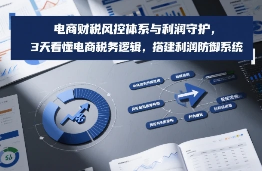 【精】电商财税风控体系与利润守护，3天看懂电商税务逻辑，搭建利润防御系统网赚项目-副业赚钱-互联网创业-资源整合知行客