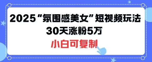 不露脸也能火！2025“氛围感美女”短视频玩法，30天涨粉5W小白可复制 | 资源下载 - 知行客网赚项目-副业赚钱-互联网创业-资源整合知行客